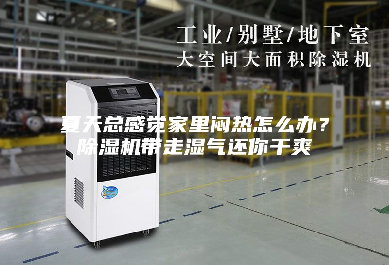 夏天总感觉家里闷热怎么办？除湿机带走湿气还你干爽