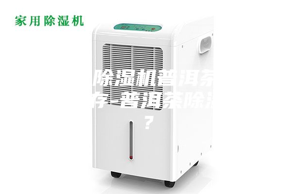 没有除湿机普洱茶怎么保存-普洱茶除湿吗？