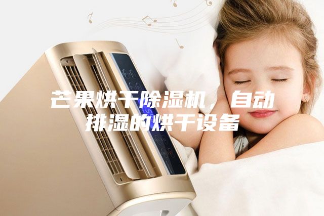 芒果烘干除湿机，自动排湿的烘干设备