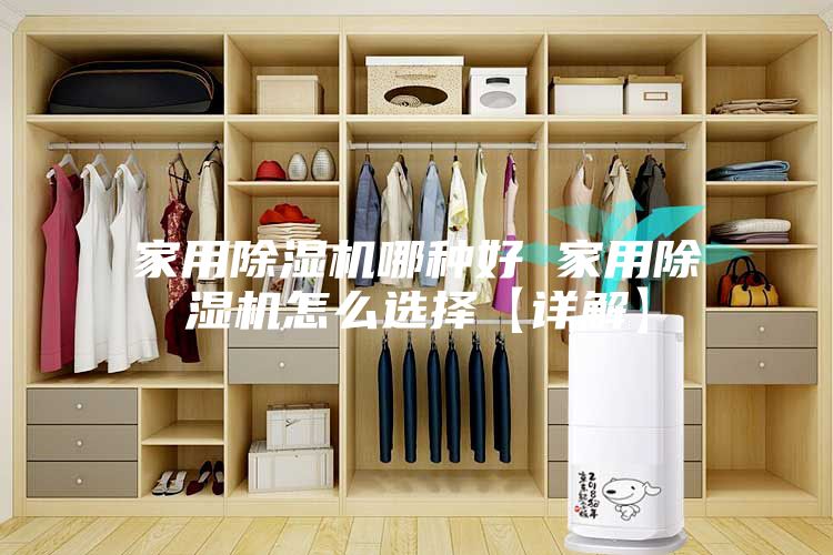 家用除湿机哪种好 家用除湿机怎么选择【详解】