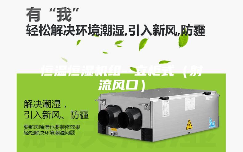 恒溫恒濕機(jī)組--立柜式(射流風(fēng)口)