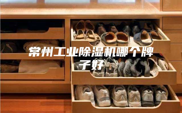 常州工业除湿机哪个牌子好