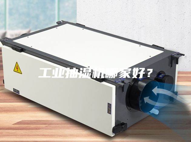 工業(yè)抽濕機(jī)哪家好？