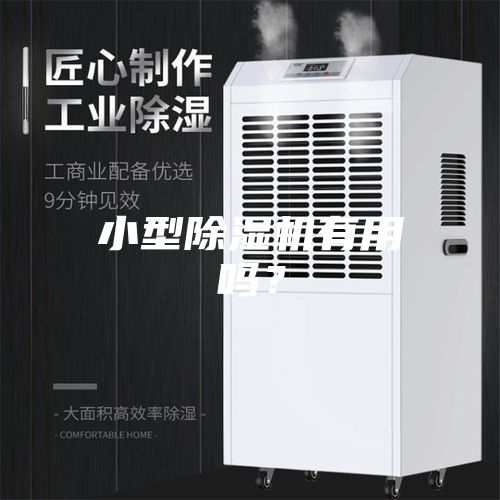 小型除湿机有用吗？