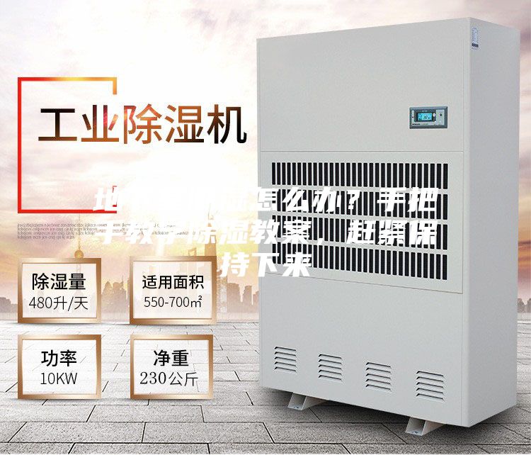 地下室潮濕怎么辦？手把手教學(xué)除濕教案，趕緊保持下來(lái)