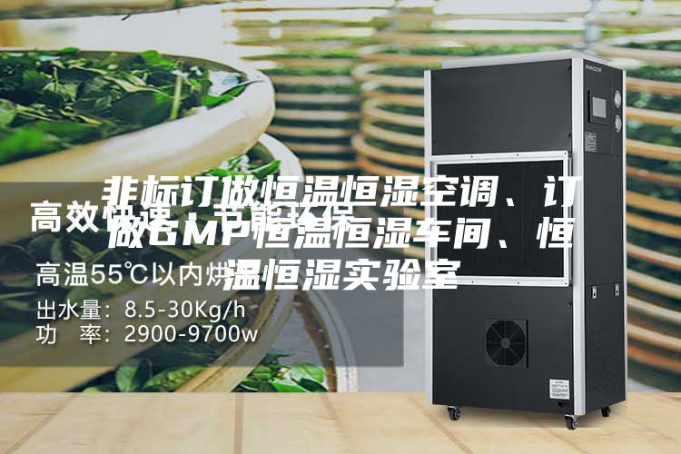 非標(biāo)訂做恒溫恒濕空調(diào)、訂做GMP恒溫恒濕車間、恒溫恒濕實(shí)驗室