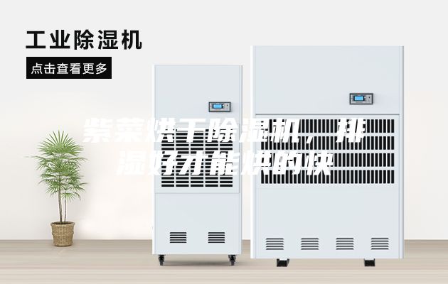 紫菜烘干除湿机，排湿好才能烘的快
