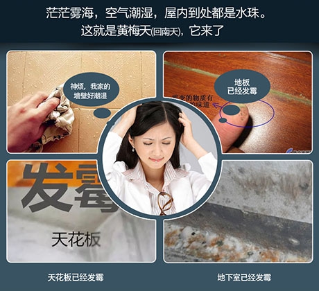 酒店、餐厅这么潮，谁还放心？除湿机用起来啊