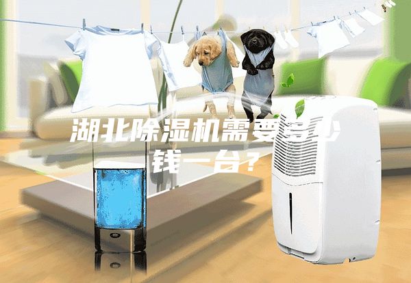 湖北除濕機需要多少錢一臺？