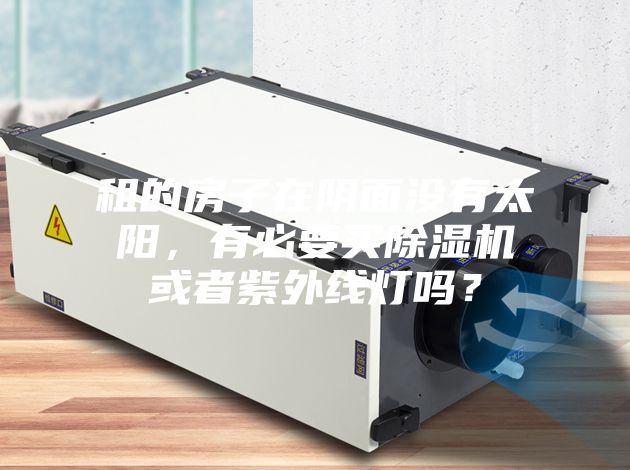 租的房子在阴面没有太阳，有必要买除湿机或者紫外线灯吗？