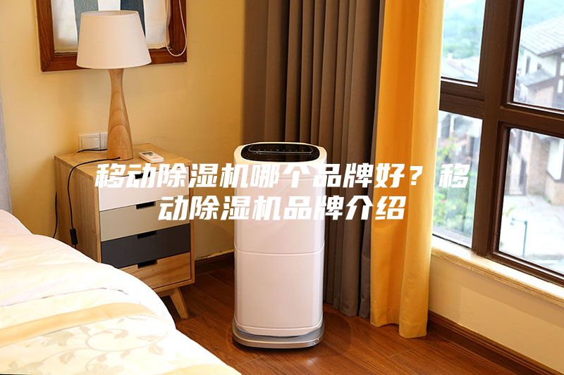 移动除湿机哪个品牌好？移动除湿机品牌介绍