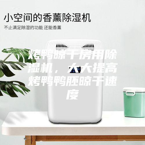 烤鸭晾干房用除湿机，大大提高烤鸭鸭胚晾干速度