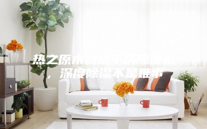 热之原木材烘干房除湿机，深度除湿不是难事