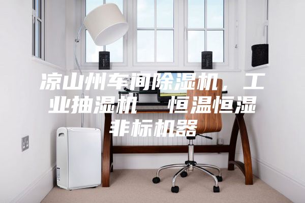 涼山州車間除濕機(jī)，工業(yè)抽濕機(jī)  恒溫恒濕非標(biāo)機(jī)器