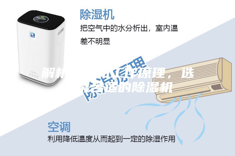 解析压缩机工作原理，选购最合适的除湿机