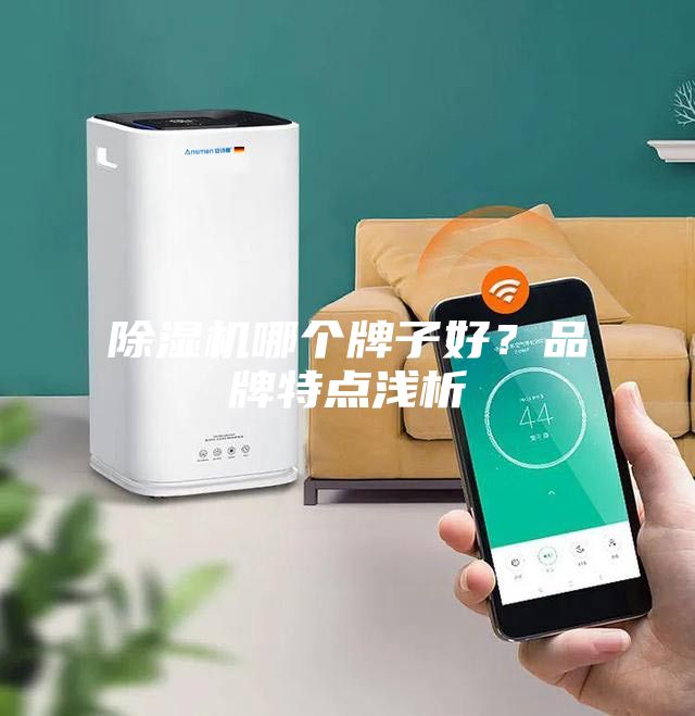 除濕機(jī)哪個(gè)牌子好？品牌特點(diǎn)淺析
