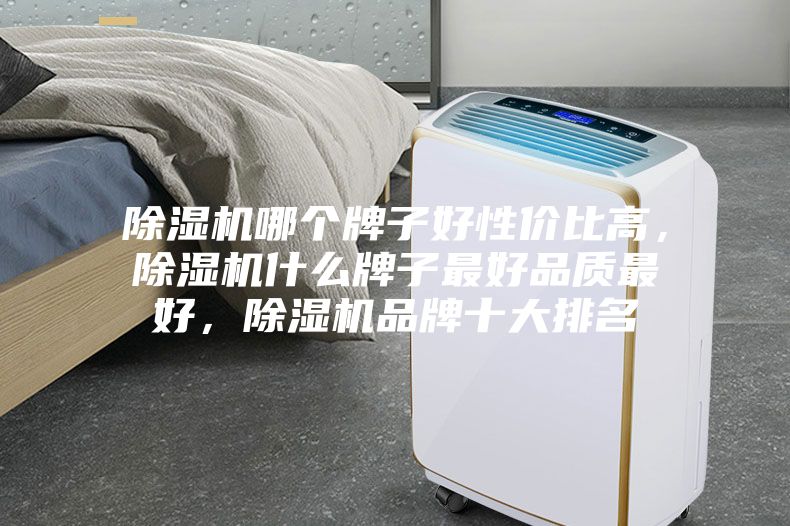 除湿机哪个牌子好性价比高，除湿机什么牌子最好品质最好，除湿机品牌十大排名