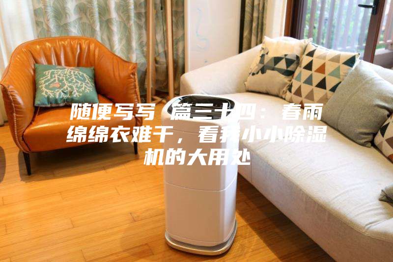 隨便寫寫 篇三十四：春雨綿綿衣難干，看我小小除濕機(jī)的大用處