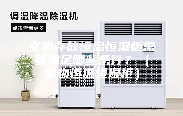 文物存放恒溫恒濕柜需要滿足哪些條件？（文物恒溫恒濕柜）