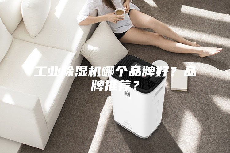 工业除湿机哪个品牌好？品牌推荐？