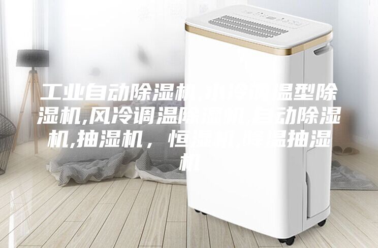 工業(yè)自動除濕機,水冷調(diào)溫型除濕機,風(fēng)冷調(diào)溫除濕機,自動除濕機,抽濕機,恒濕機,降溫抽濕機