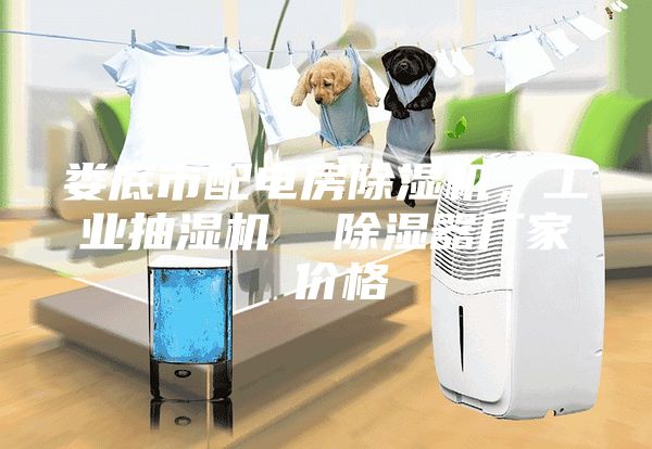 婁底市配電房除濕機，工業(yè)抽濕機  除濕器廠家 價格