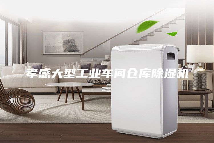 孝感大型工業(yè)車間倉庫除濕機(jī)