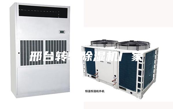 邢臺(tái)轉(zhuǎn)輪除濕機(jī)廠(chǎng)家