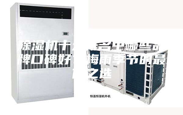 除濕機(jī)十大排名中哪些品牌口碑好？梅雨季節(jié)的最佳之選