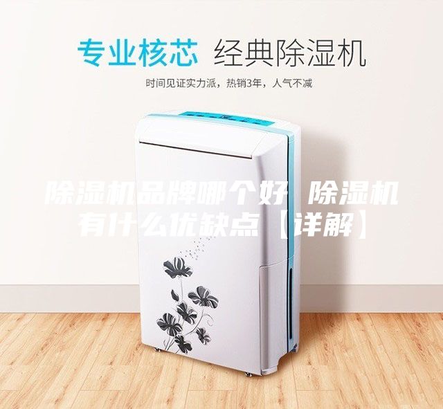 除濕機品牌哪個好 除濕機有什么優(yōu)缺點【詳解】