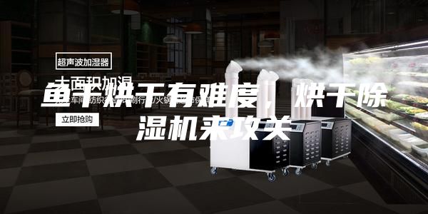 魚(yú)干烘干有難度，烘干除濕機(jī)來(lái)攻關(guān)