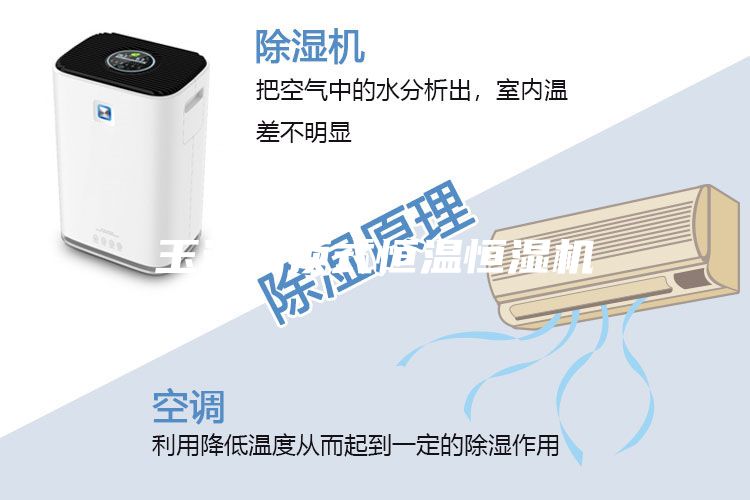 玉溪吊頂式恒溫恒濕機(jī)