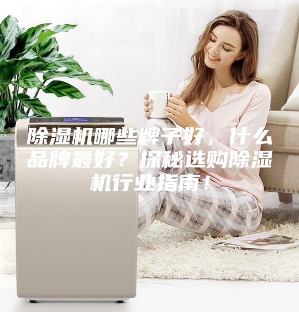 除濕機(jī)哪些牌子好，什么品牌最好？探秘選購除濕機(jī)行業(yè)指南！