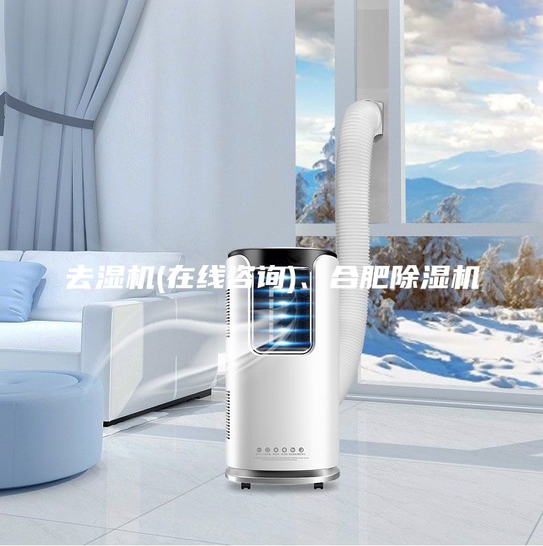 去濕機(jī)(在線咨詢)、合肥除濕機(jī)