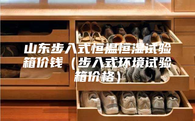 山東步入式恒溫恒濕試驗(yàn)箱價(jià)錢(步入式環(huán)境試驗(yàn)箱價(jià)格)