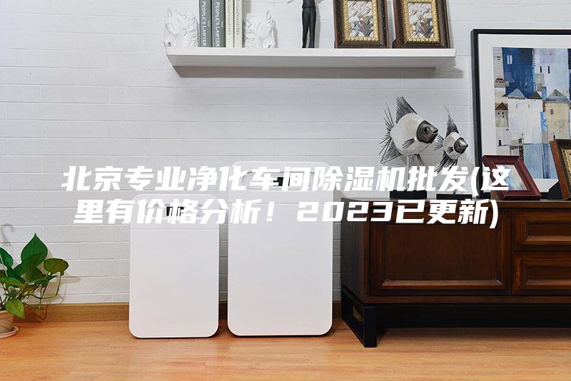 北京專業(yè)凈化車間除濕機批發(fā)(這里有價格分析！2023已更新)