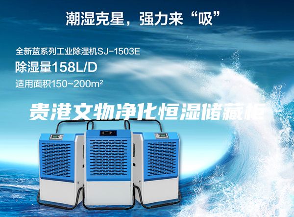 貴港文物凈化恒濕儲藏柜