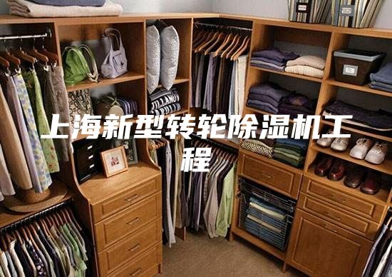 上海新型轉(zhuǎn)輪除濕機(jī)工程
