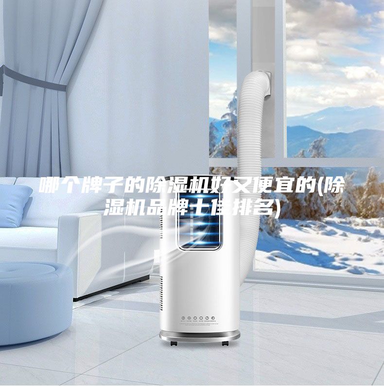 哪個(gè)牌子的除濕機(jī)好又便宜的(除濕機(jī)品牌十佳排名)