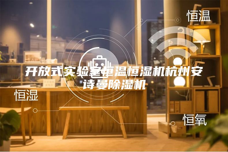 開(kāi)放式實(shí)驗(yàn)室恒溫恒濕機(jī)杭州安詩(shī)曼除濕機(jī)