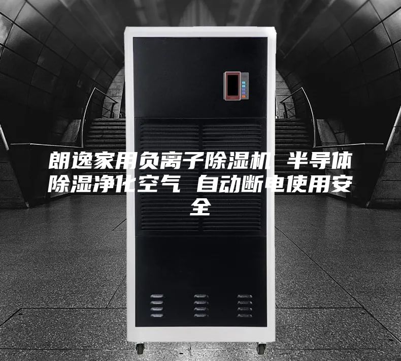 朗逸家用負(fù)離子除濕機 半導(dǎo)體除濕凈化空氣 自動斷電使用安全