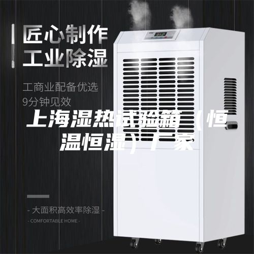 上海濕熱試驗(yàn)箱(恒溫恒濕)廠家