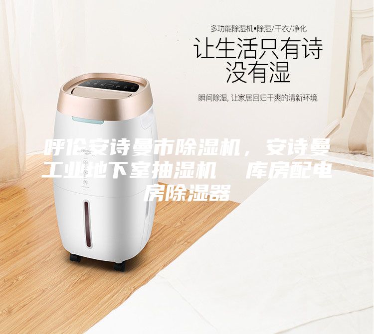 呼倫安詩曼市除濕機，安詩曼工業(yè)地下室抽濕機  庫房配電房除濕器