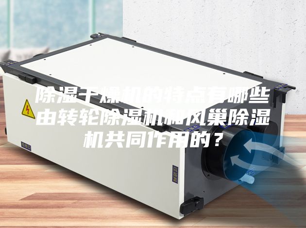 除濕干燥機(jī)的特點(diǎn)有哪些由轉(zhuǎn)輪除濕機(jī)和風(fēng)巢除濕機(jī)共同作用的？