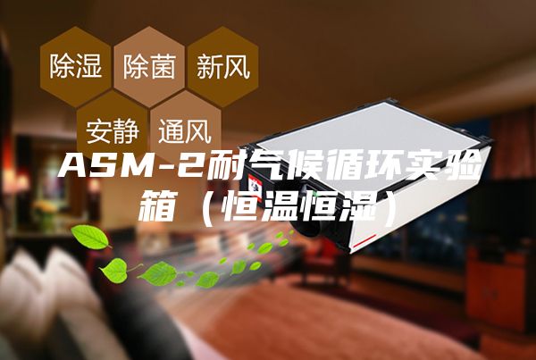 ASM-2耐氣候循環(huán)實驗箱(恒溫恒濕)