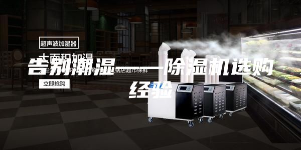 告別潮濕——除濕機(jī)選購(gòu)經(jīng)驗(yàn)