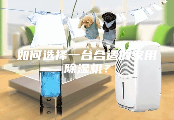 如何選擇一臺(tái)合適的家用除濕機(jī)？