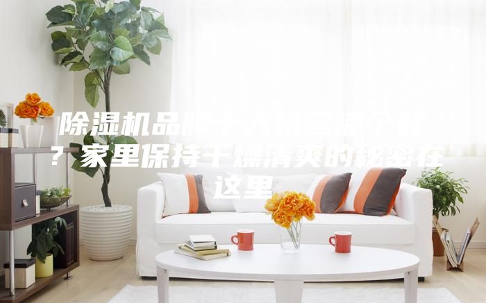 除濕機品牌十大排名哪個好？家里保持干燥清爽的秘密在這里
