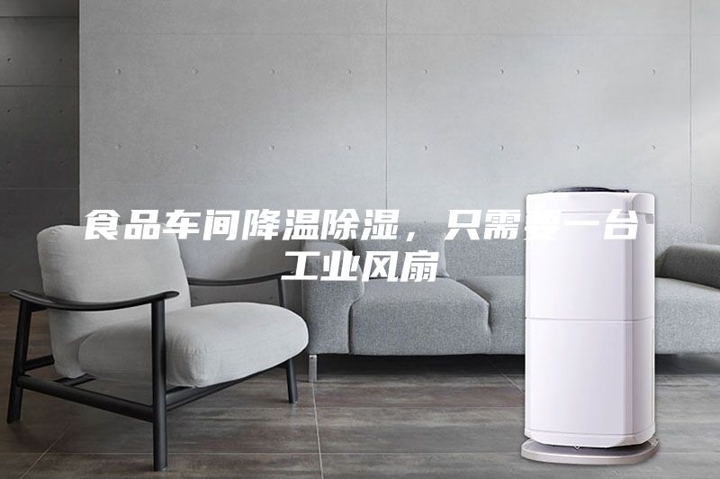 食品車間降溫除濕，只需要一臺工業(yè)風(fēng)扇