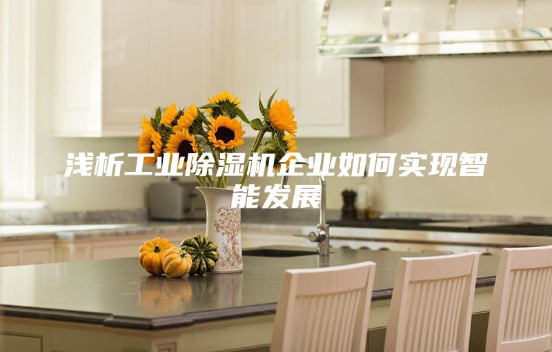 淺析工業(yè)除濕機(jī)企業(yè)如何實現(xiàn)智能發(fā)展